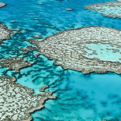 liveaboard-australia-great-barrier-reef-xxl.jpg