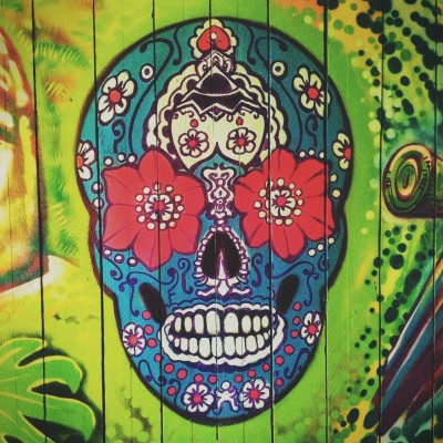 skull-g47abb0edd1920.jpg