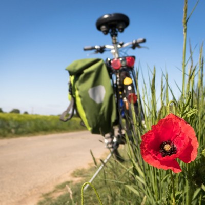 to-go-biking-gd00077c871920.jpg
