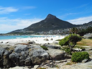 Sud Africa - Cape Town le Balene di Hermanus e Kruger