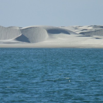 dunes-baja-california.jpg